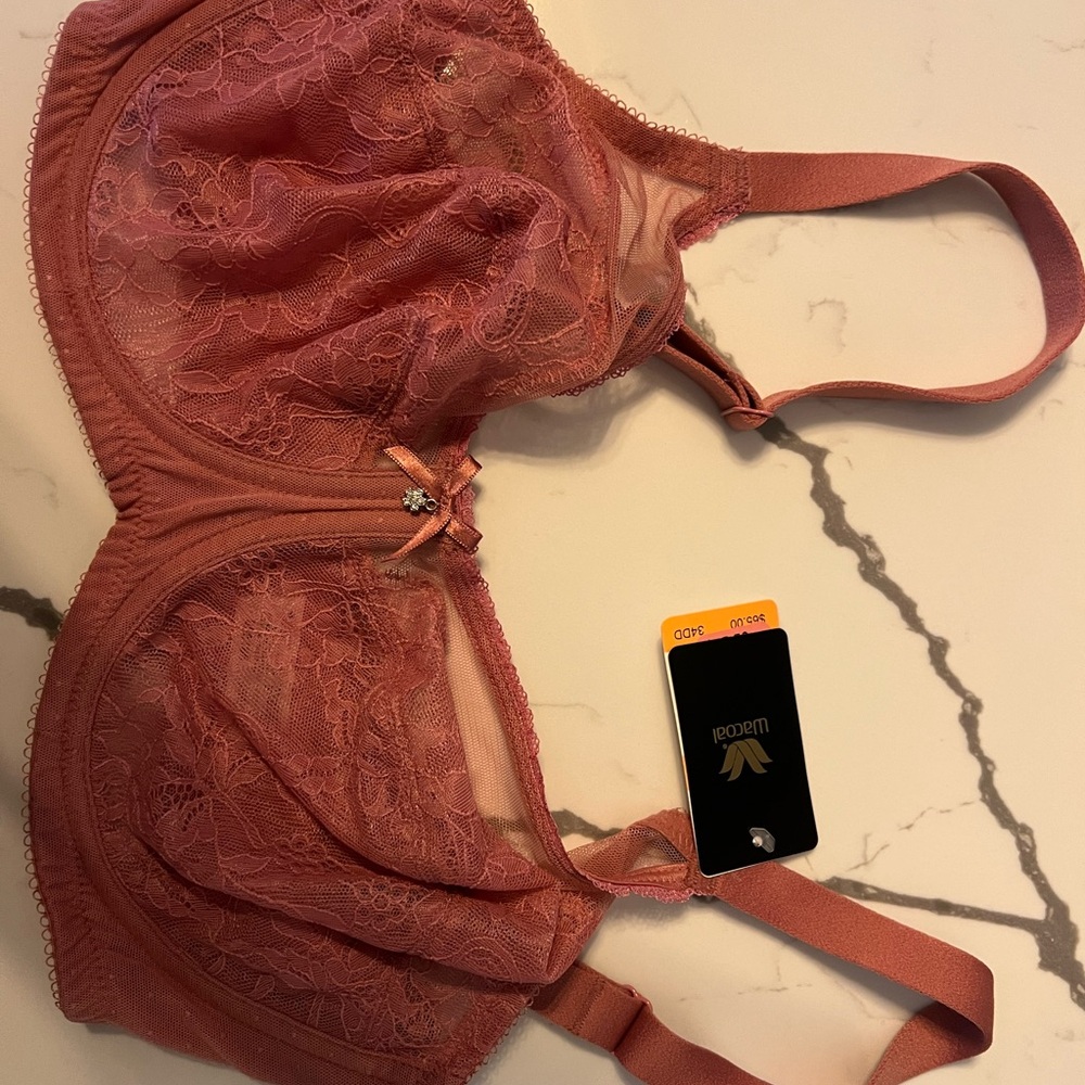 Elegant Lace Women's Intimate in Coral by Wacoal